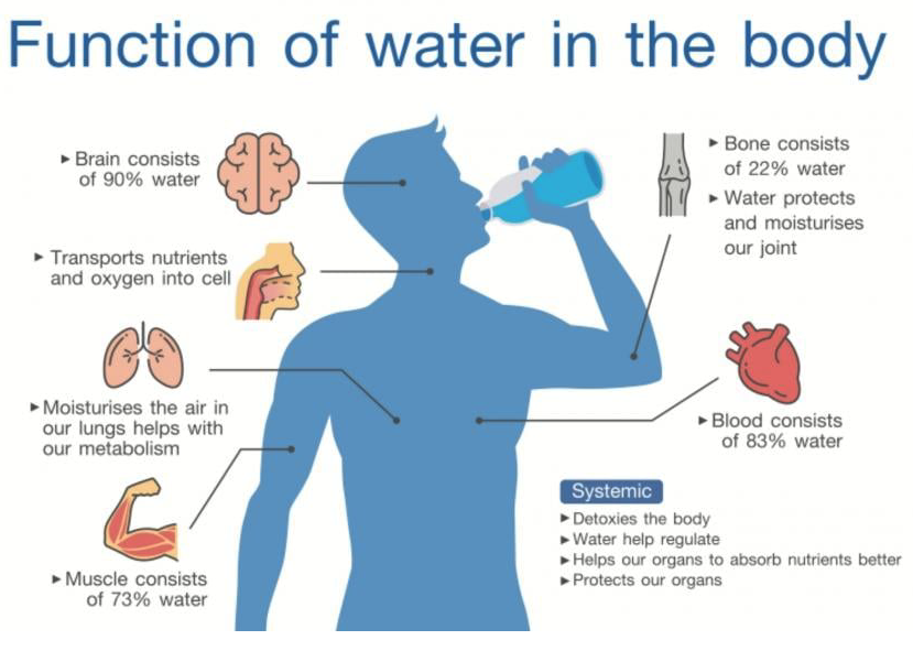 alternatives to drinking water